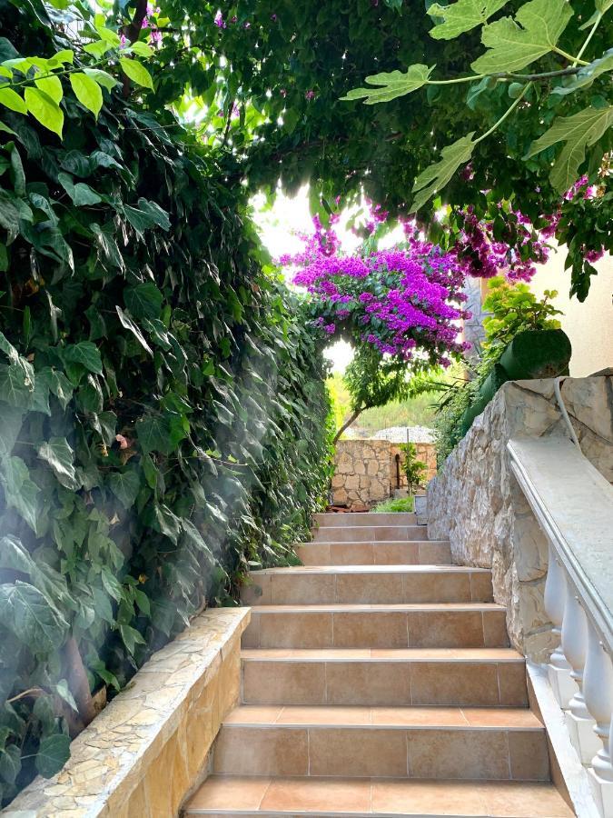 Apartments Villa Ra Zaboric Ngoại thất bức ảnh